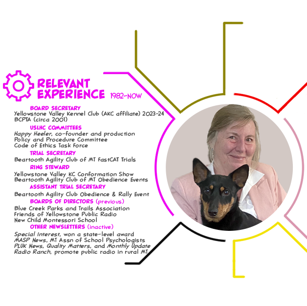 Relevant experience —an excerpt from the graphic résumé of Rosanna Buehl, candidate for Secretary of the United States Lancashire Heeler Club (USLHC)